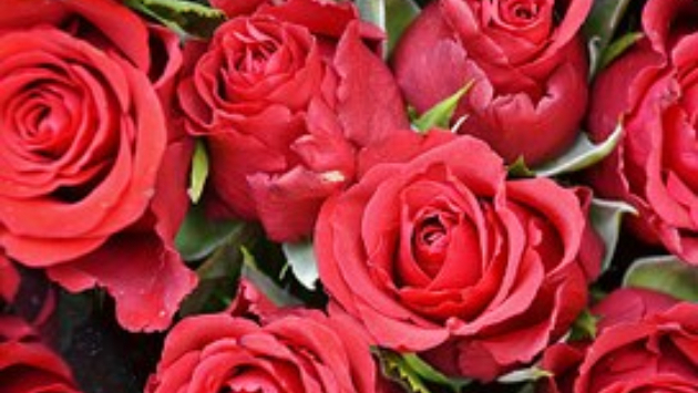 好きな人の 夢 に現れた貴方様への 恋心 を視ます お望みのシーンを金星の女神のパワーで好きな人の夢の中 に に 鑑定 ときめき度 を追加しました Venus Power Coconalaブログ