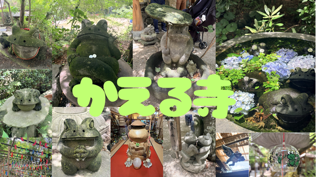 夏至の神社仏閣参り