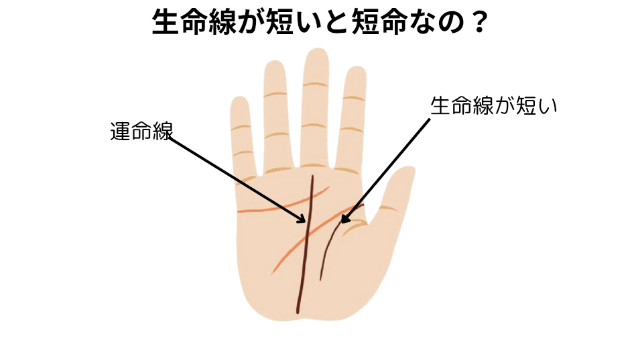 生命線が短いと短命なの？