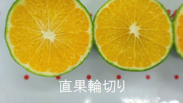 カバー画像