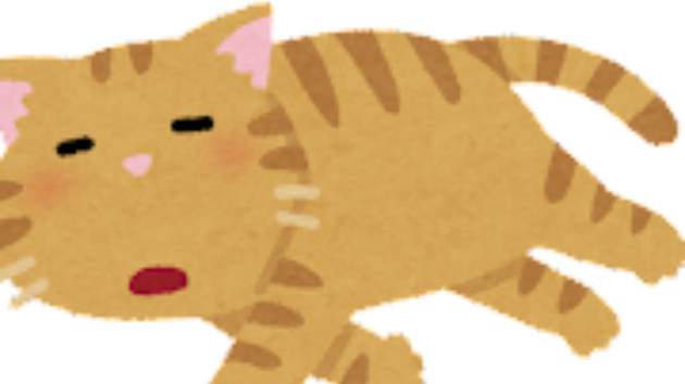 失敗の連続（つかれたよ～～）