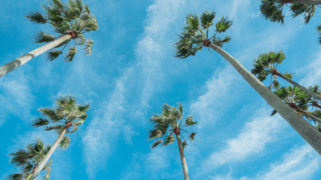 占い ♡ 8月14日　本日　大安