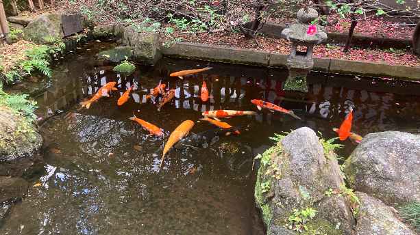カバー画像