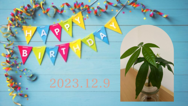 Happy　Birthday(^^♪