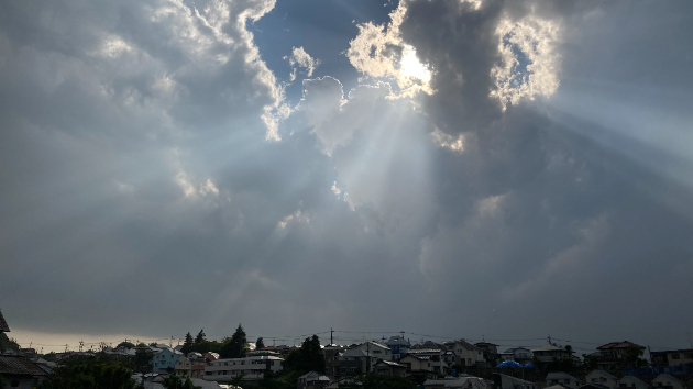 真実の言葉 464【神へ帰る】