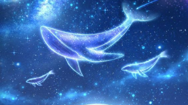 【2024年9月３０日、片思いのツインレイの彼の気持ち　星座占い　カステラ王子　小暮料理長】