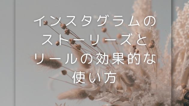 インスタグラムのストーリーズとリールの効果的な使い方