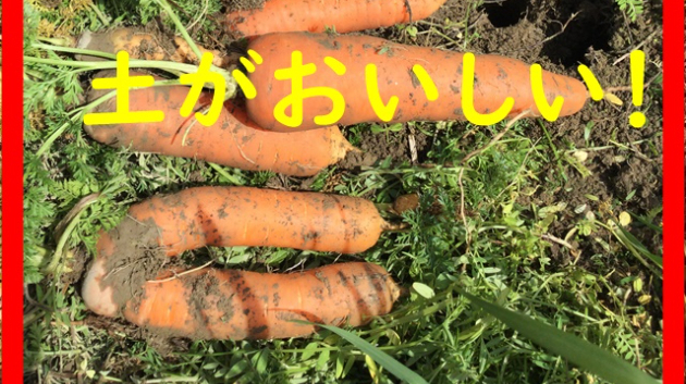 土っておいしい！