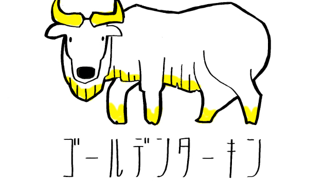 きょうのどうぶつ「ゴールデンターキン」