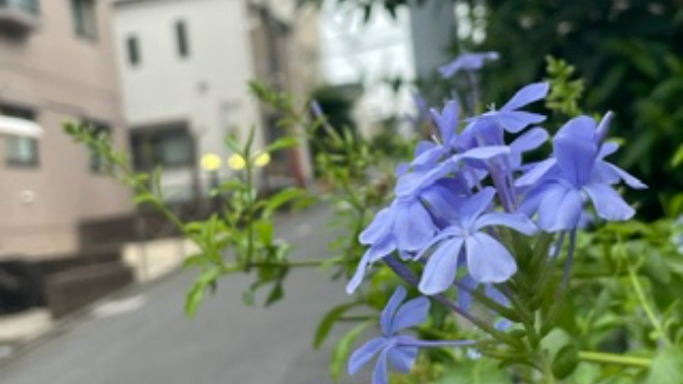 ポジティブでもネガティブでも