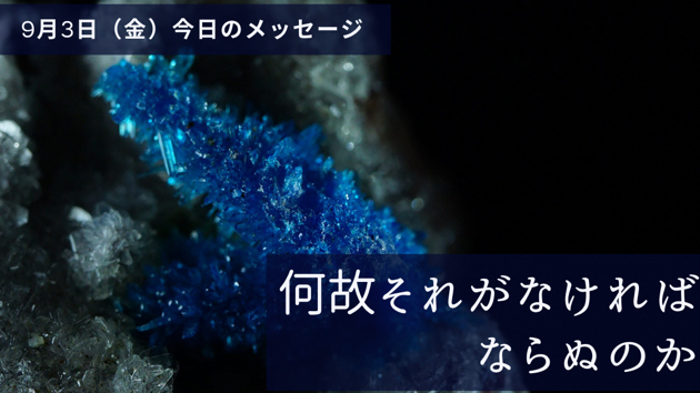 なんでそれが欲しいの？