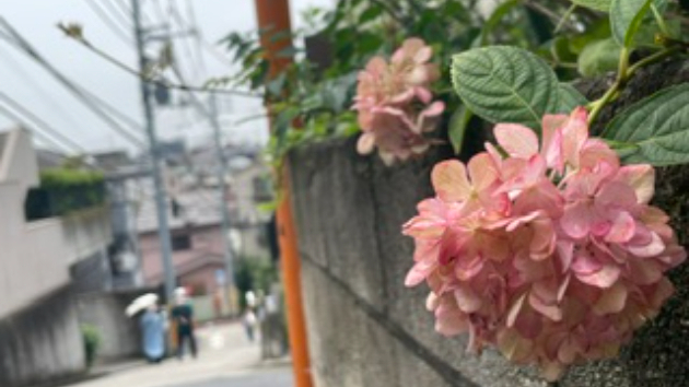 働かないの