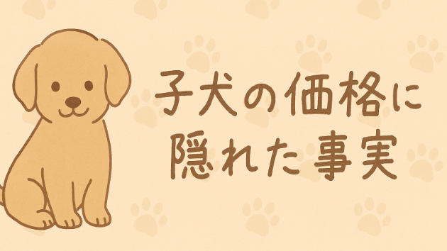 🐾 子犬の値段はどう決まる？
