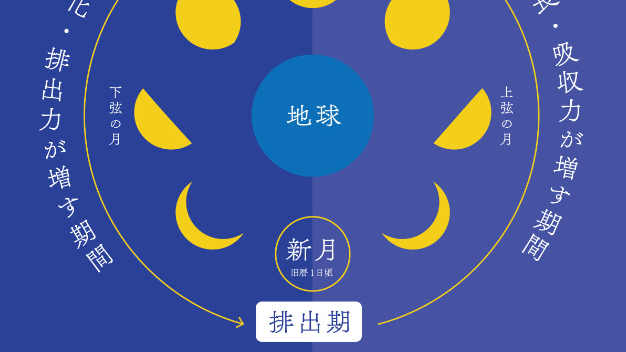 月を見上げる毎日習慣　毎月日誌　306