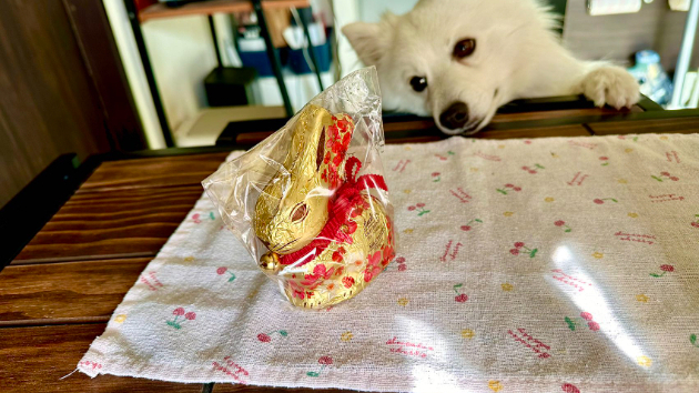 辛酉日