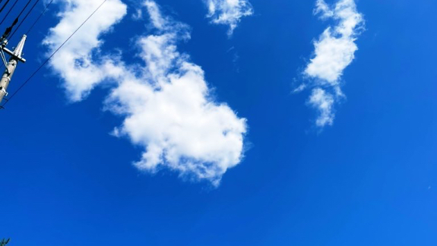 誰のせいにもしないで生きたら💙