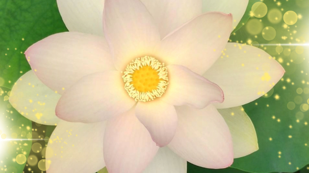 １０月２５日チャネリング
