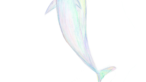 art  #3  「イルカ」