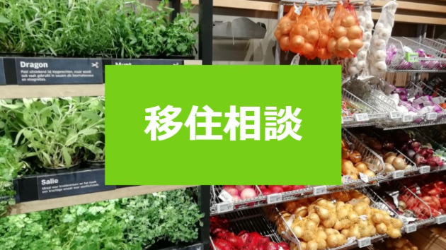 オランダ移住サポート どこを拠点 オランダまりぽさ Coconalaブログ