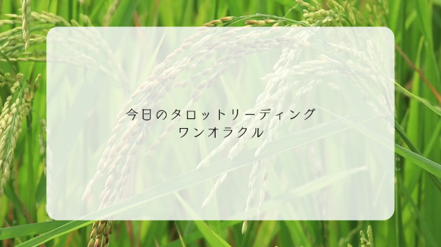 カバー画像