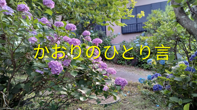 かおりのひとり言