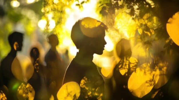 仕事がつらいとき、心が一番求めているもの