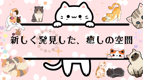 新しく発見した、癒しの空間