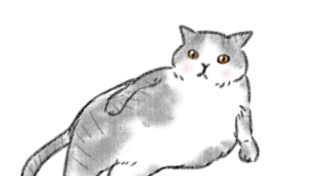 カバー画像