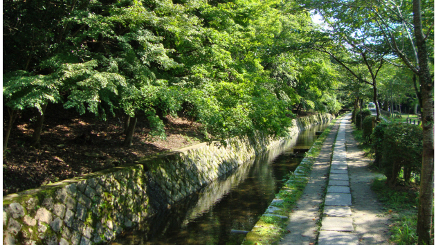 宿命は設計図