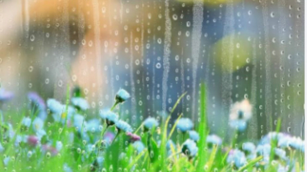 雨のパワー☔で癒しを