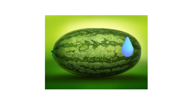 🦤👾(*´ω`)o🥒🥒