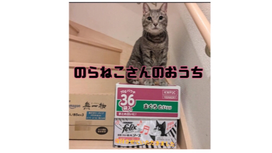 カバー画像