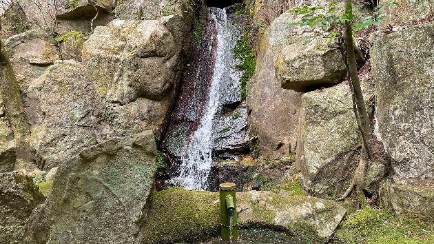 私が遠隔気功を始めた理由