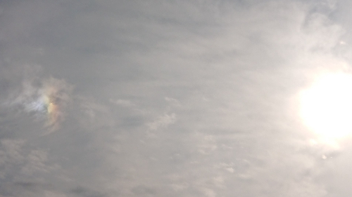 お誕生日おめでとう