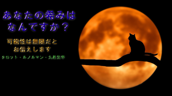 占いを５月12日より、リニューアルオープンします。