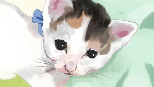 カバー画像