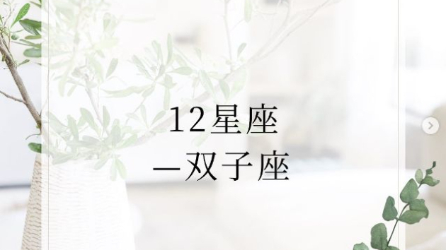 12星座―双子座