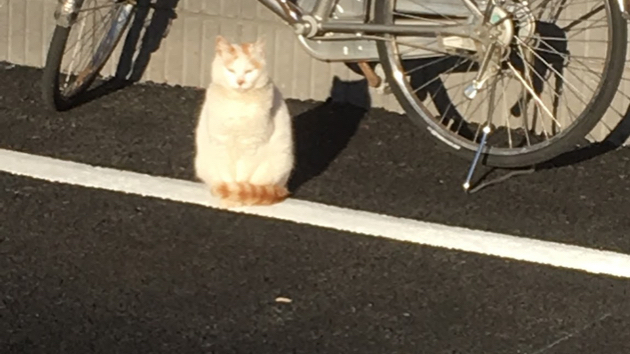 はじめに