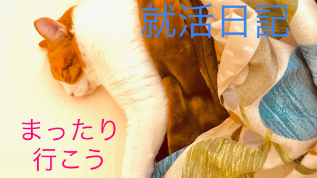 カバー画像