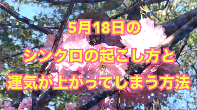 ５月１８日のシンクロの起こし方と運気が上がってしまう方法☆彡
