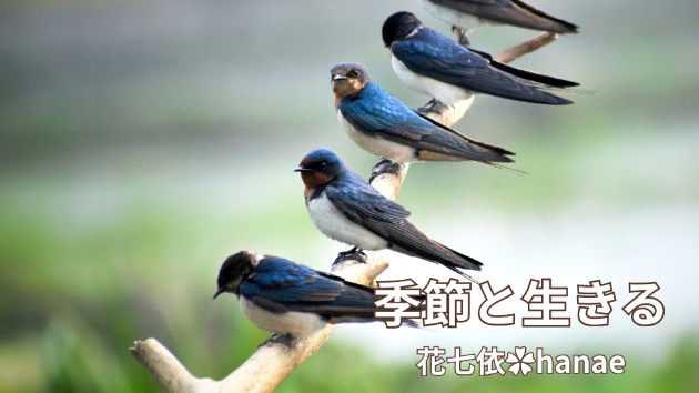 カバー画像