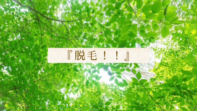 カバー画像