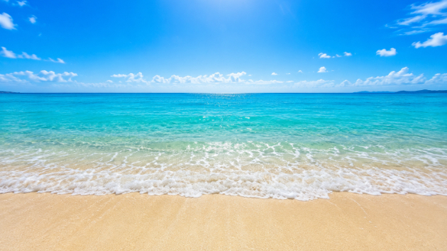 海のリズムと、私たちがホッとする理由