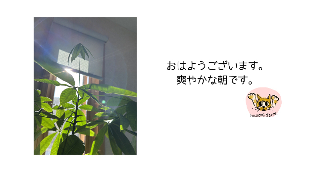 カバー画像