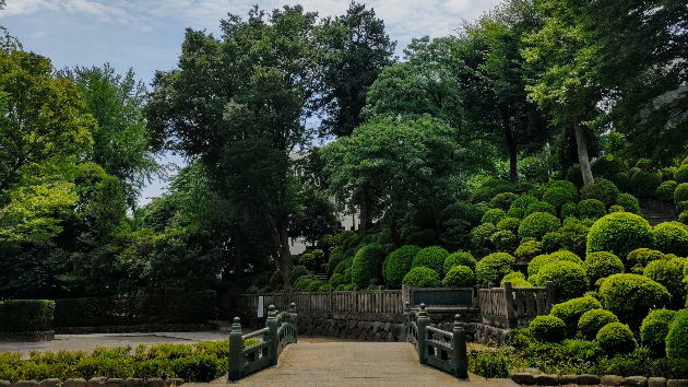 カバー画像