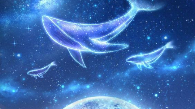 【9月３０日、遠距離のツインレイの彼の気持ち　星座占い　カステラ王子　小暮料理長】