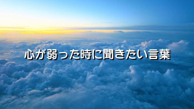 カバー画像