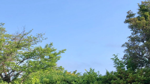 ☆遊び心☆令和８年6月12日（金） 赤口☆