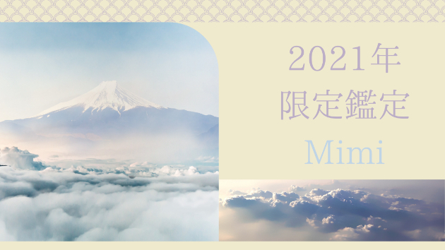 2021年限定鑑定