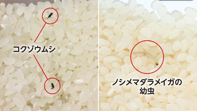 カバー画像